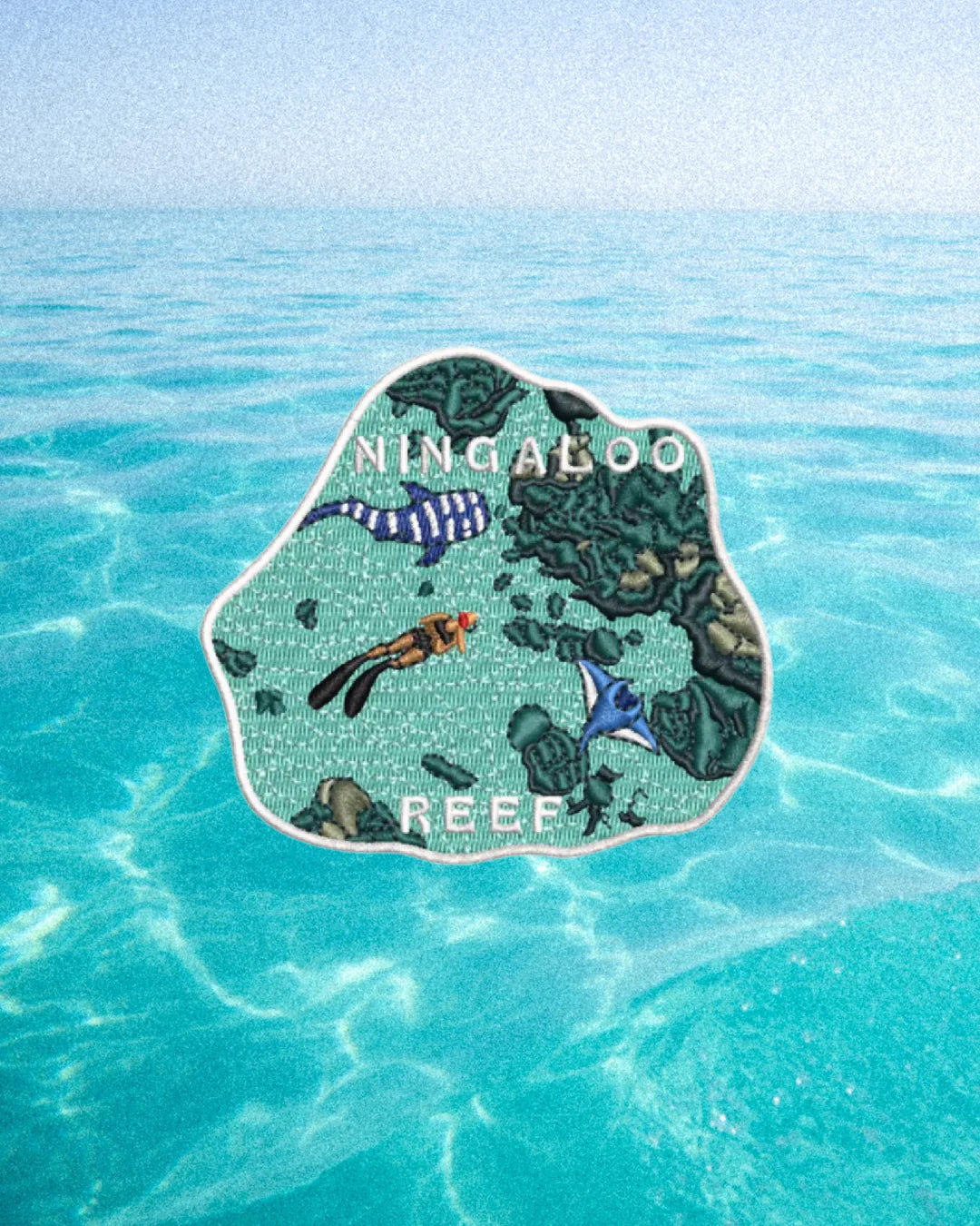 76 Tourin Ningaloo Reef Patch