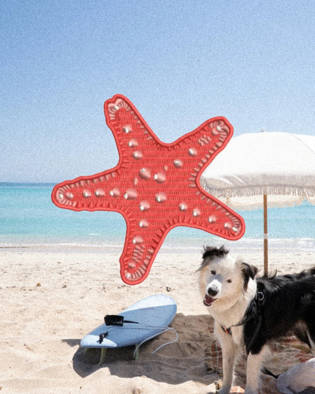 76 Tourin Starfish Patch