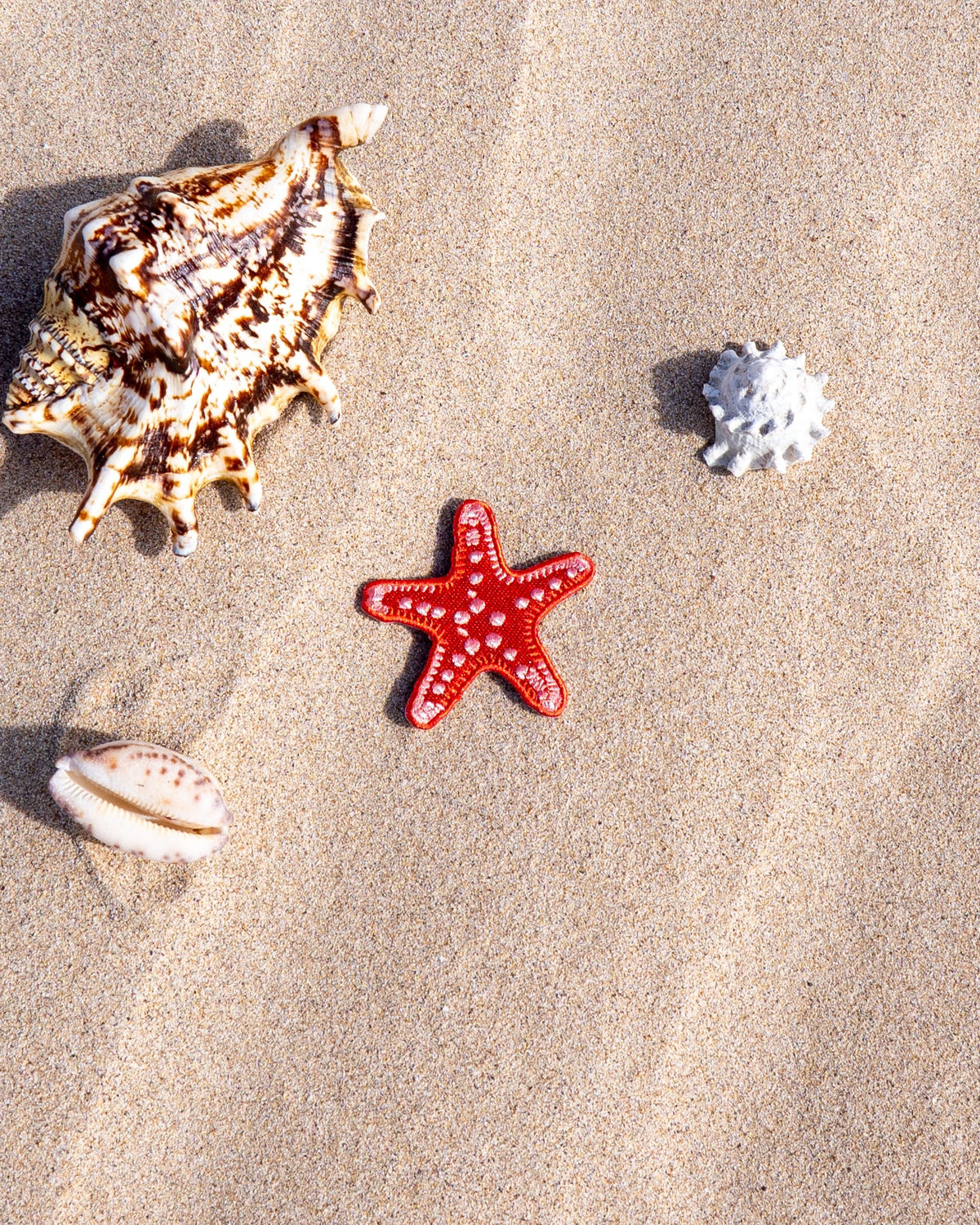 76 Tourin Starfish Patch