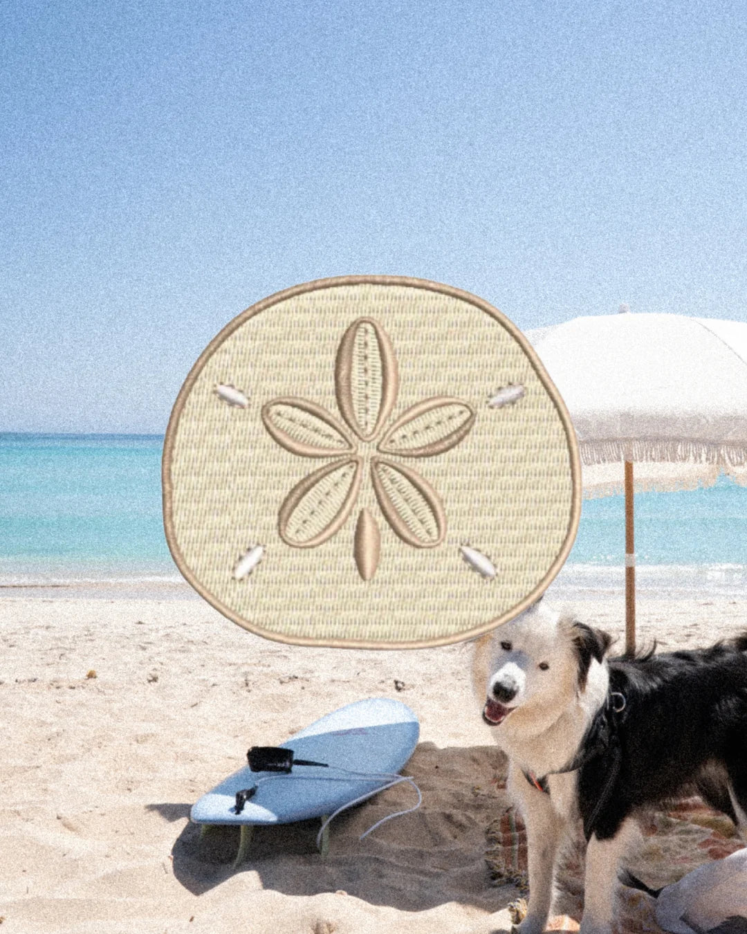 76 Tourin Sand Dollar Patch
